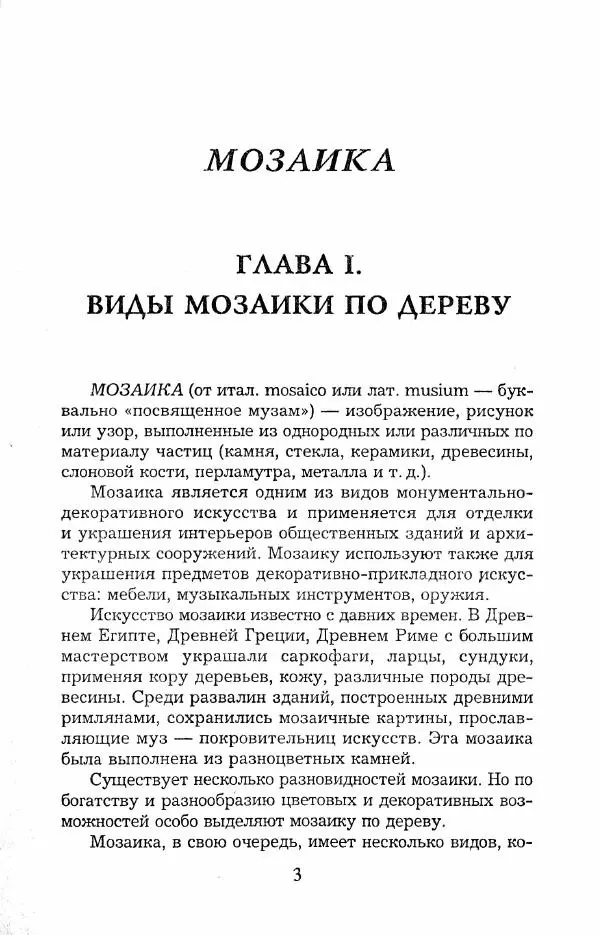 Книгаго: Резьба по дереву. Полный курс для начинающего. Иллюстрация № 4