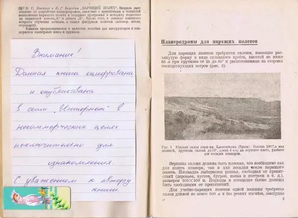 Книгаго: Парящий полёт. Иллюстрация № 2