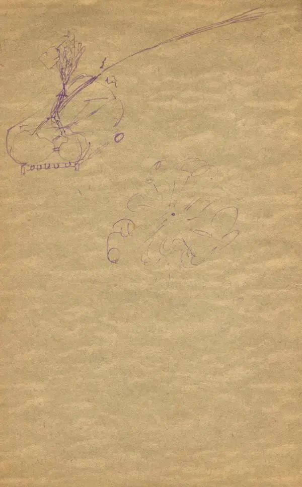 Книгаго: Ботаника. Учебник для неполной средней и средней школы. Иллюстрация № 2