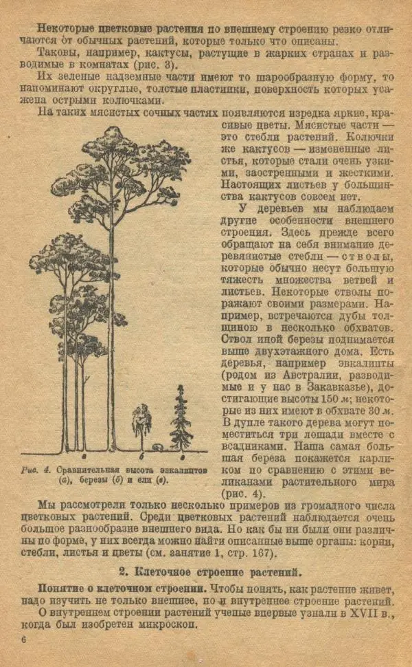 Книгаго: Ботаника. Учебник для неполной средней и средней школы. Иллюстрация № 8