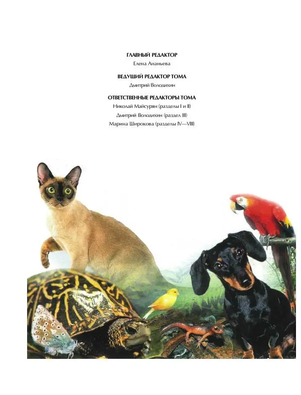 Книгаго: Энциклопедия для детей. Том 24. Домашние питомцы. Иллюстрация № 8