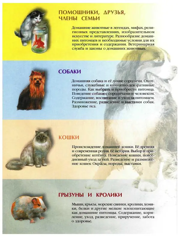 Книгаго: Энциклопедия для детей. Том 24. Домашние питомцы. Иллюстрация № 10