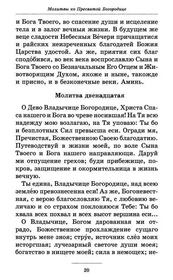 Книгаго: Всех скорбящих Радость. Молитвы Божией Матери, учение церкви о Ней и новые чудеса Её. Иллюстрация № 21