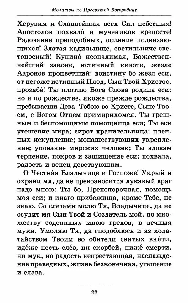 Книгаго: Всех скорбящих Радость. Молитвы Божией Матери, учение церкви о Ней и новые чудеса Её. Иллюстрация № 23