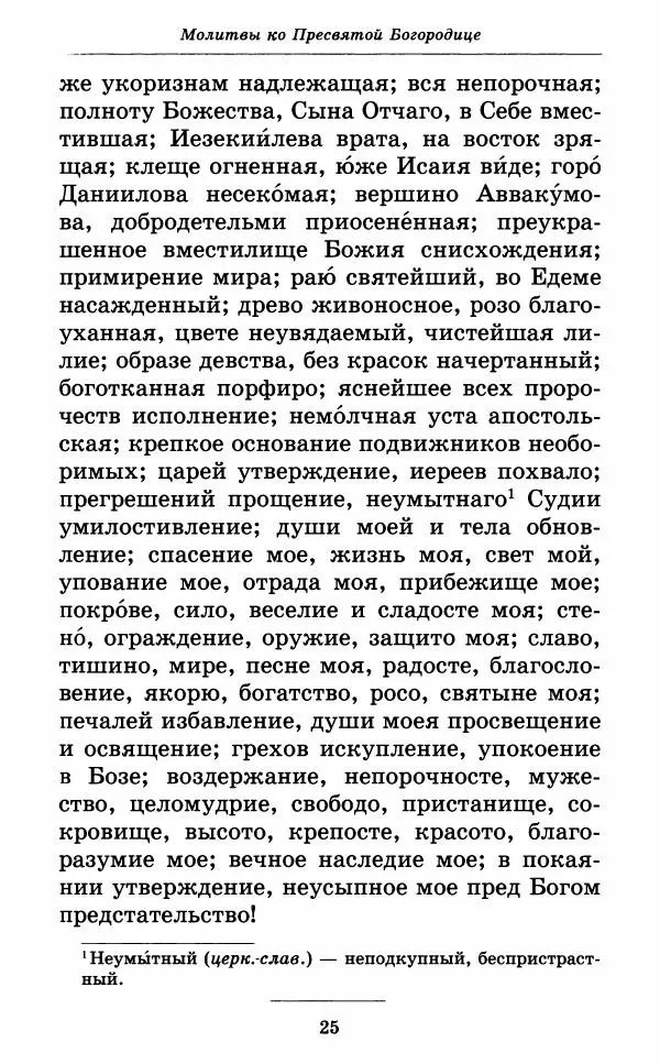 Книгаго: Всех скорбящих Радость. Молитвы Божией Матери, учение церкви о Ней и новые чудеса Её. Иллюстрация № 26