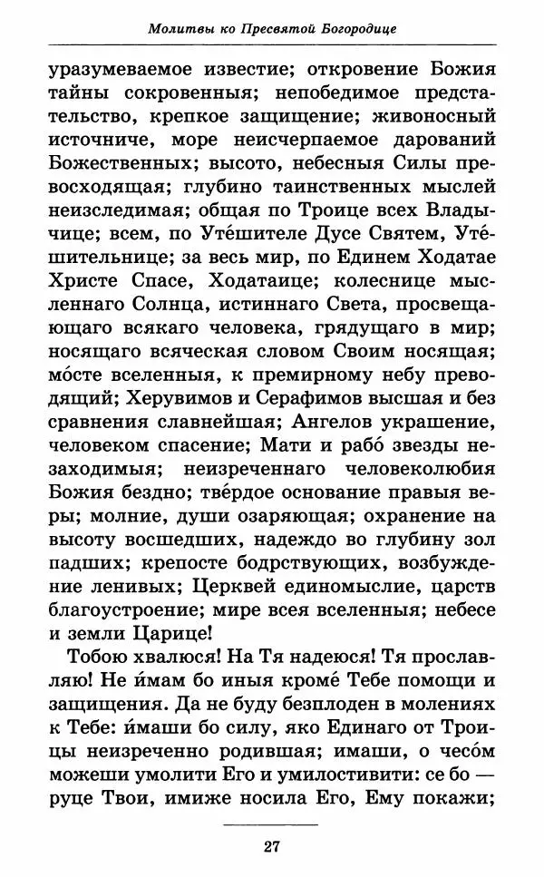 Книгаго: Всех скорбящих Радость. Молитвы Божией Матери, учение церкви о Ней и новые чудеса Её. Иллюстрация № 28