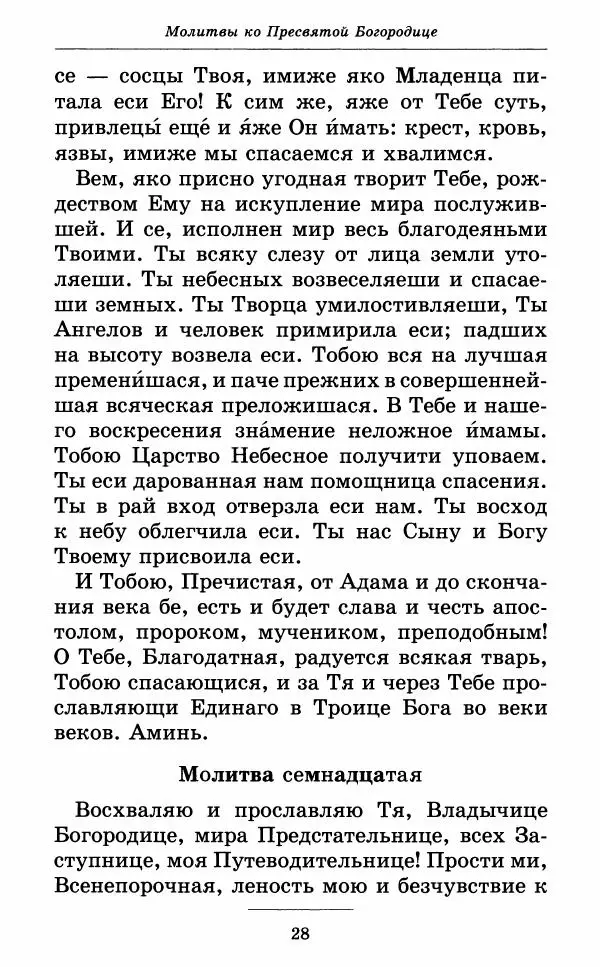 Книгаго: Всех скорбящих Радость. Молитвы Божией Матери, учение церкви о Ней и новые чудеса Её. Иллюстрация № 29