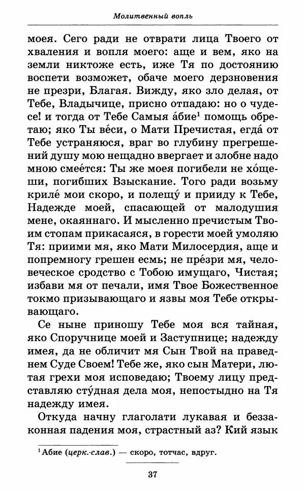Книгаго: Всех скорбящих Радость. Молитвы Божией Матери, учение церкви о Ней и новые чудеса Её. Иллюстрация № 38