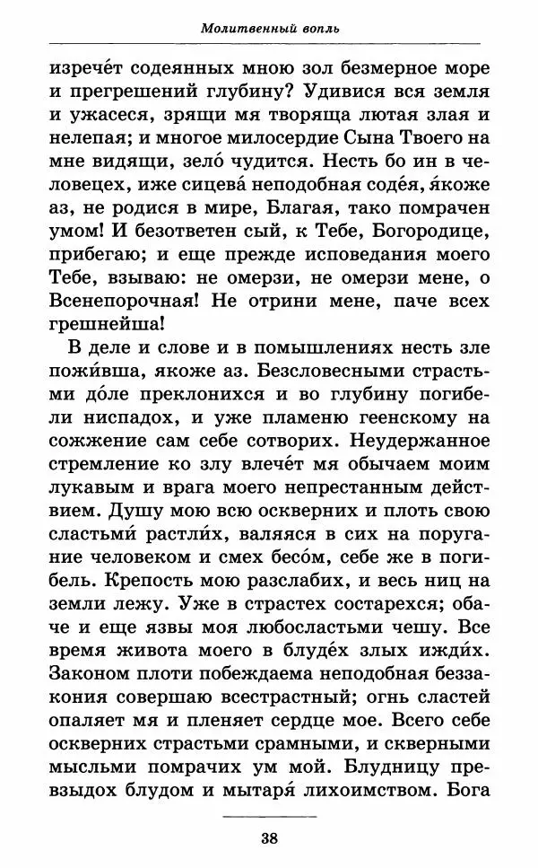 Книгаго: Всех скорбящих Радость. Молитвы Божией Матери, учение церкви о Ней и новые чудеса Её. Иллюстрация № 39