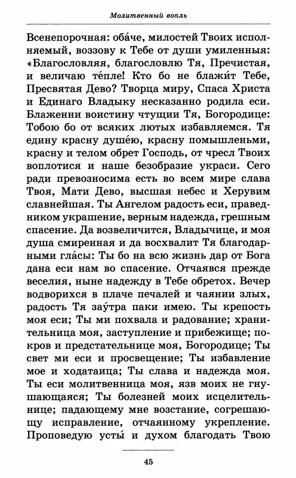 Книгаго: Всех скорбящих Радость. Молитвы Божией Матери, учение церкви о Ней и новые чудеса Её. Иллюстрация № 46