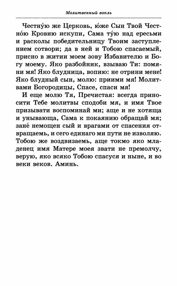 Книгаго: Всех скорбящих Радость. Молитвы Божией Матери, учение церкви о Ней и новые чудеса Её. Иллюстрация № 48