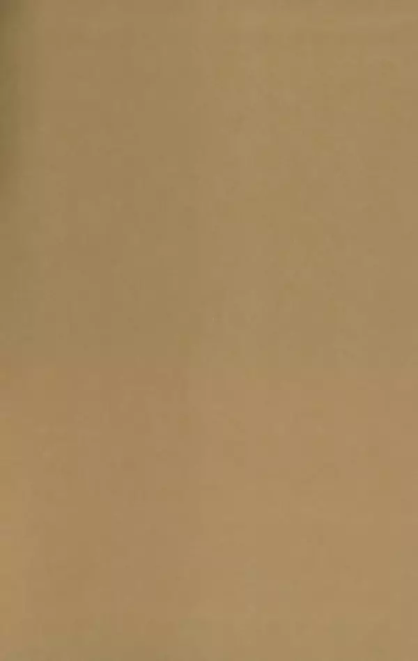 Книгаго: Том 2. Карлссон, который живет на крыше. Иллюстрация № 2