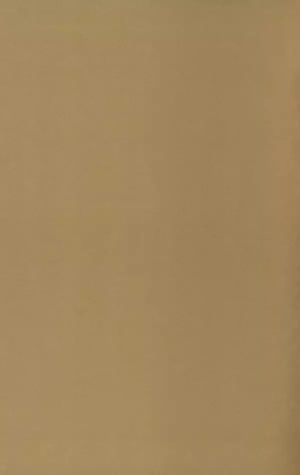 Книгаго: Том 2. Карлссон, который живет на крыше. Иллюстрация № 3