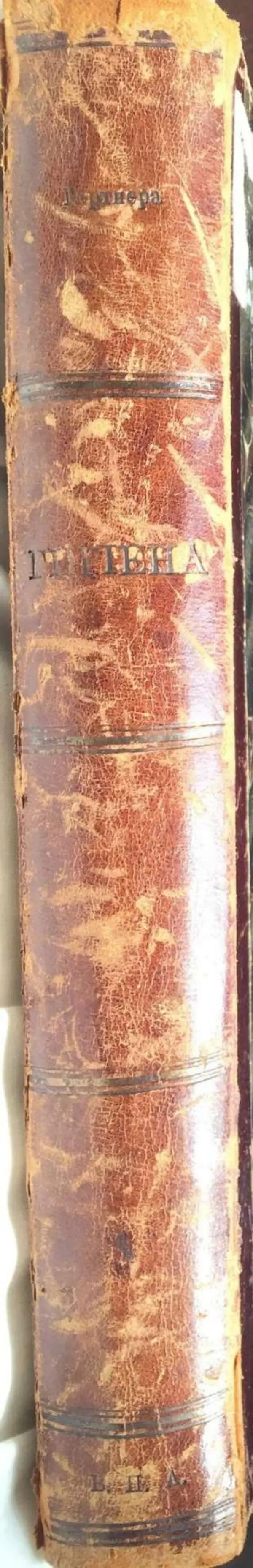 Книгаго: Руководство по гигиене. Иллюстрация № 536