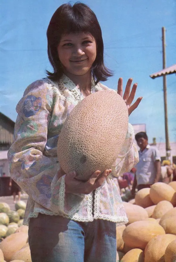 Книгаго: Нелли Ким. Иллюстрация № 9