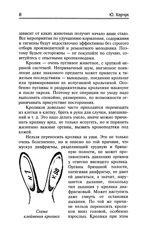 Книгаго: Разведение и содержание нутрий и кроликов в родовой усадьбе. Иллюстрация № 9