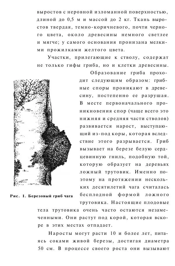 Книгаго: Гриб чага против 100 болезней. Иллюстрация № 9