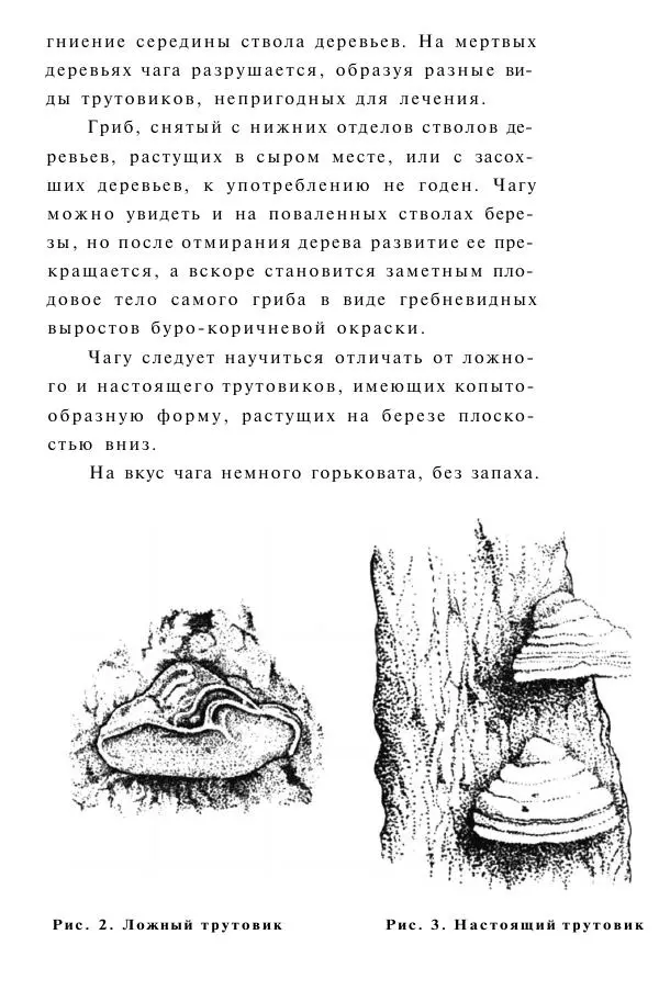 Книгаго: Гриб чага против 100 болезней. Иллюстрация № 10