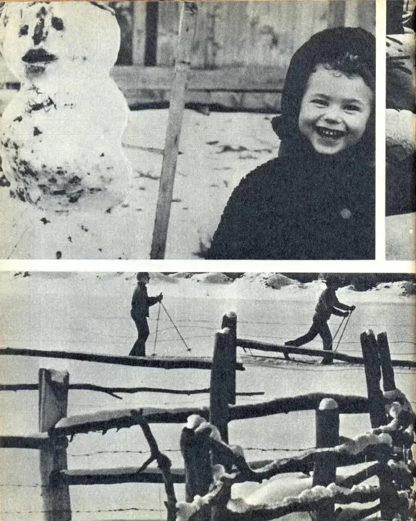 Книгаго: Семья и школа 1971 №12. Иллюстрация № 2