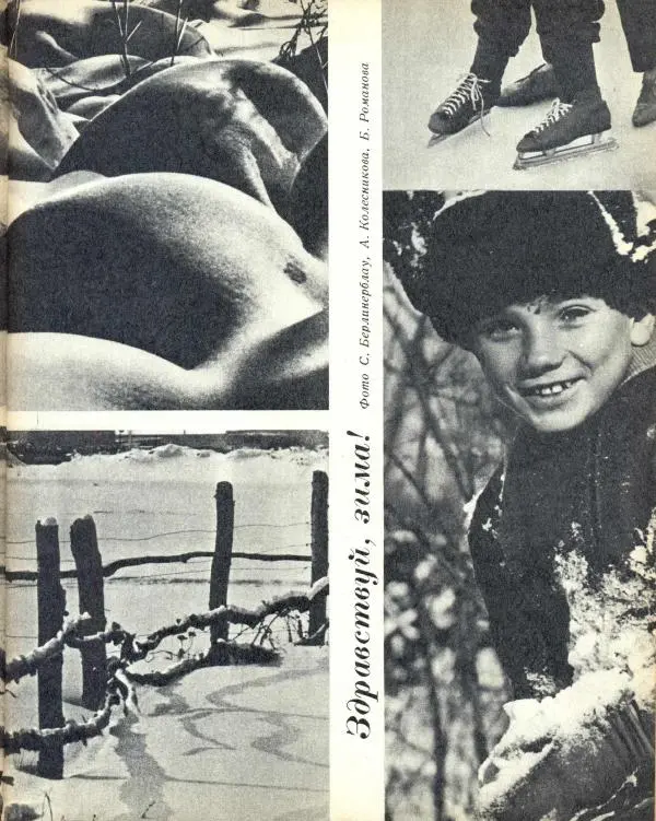 Книгаго: Семья и школа 1971 №12. Иллюстрация № 3