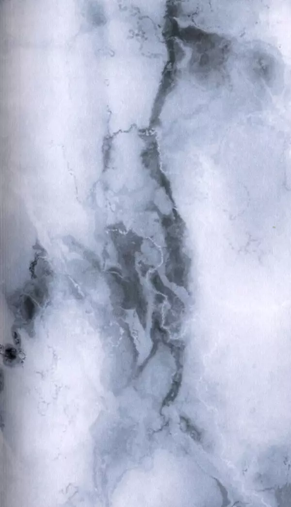 Книгаго: Демон движения. Иллюстрация № 3