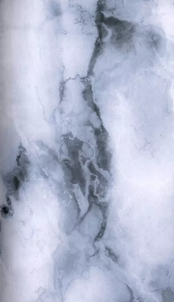 Книгаго: Демон движения. Иллюстрация № 455