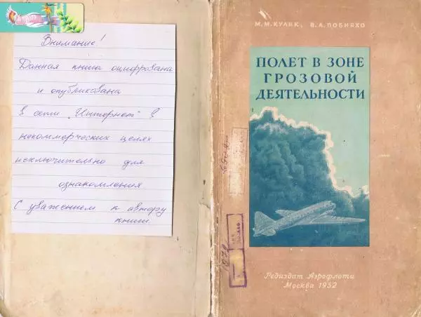 Книгаго: Полёт в зоне грозовой деятельности. Иллюстрация № 1