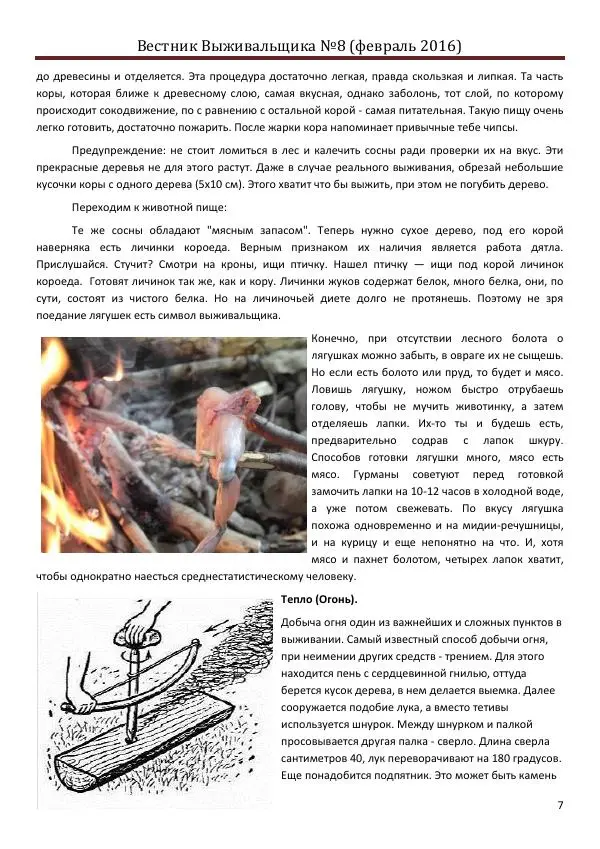 Книгаго: Вестник выживальщика 2016 №08. Иллюстрация № 7