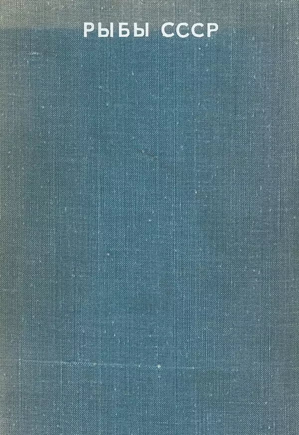 Книгаго: Рыбы СССР. Иллюстрация № 2