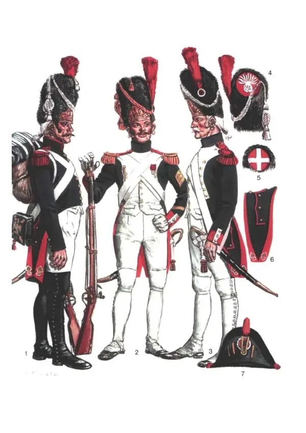 Книгаго: Наполеоновские войны 1805-1815. Том 2. Иллюстрация № 4