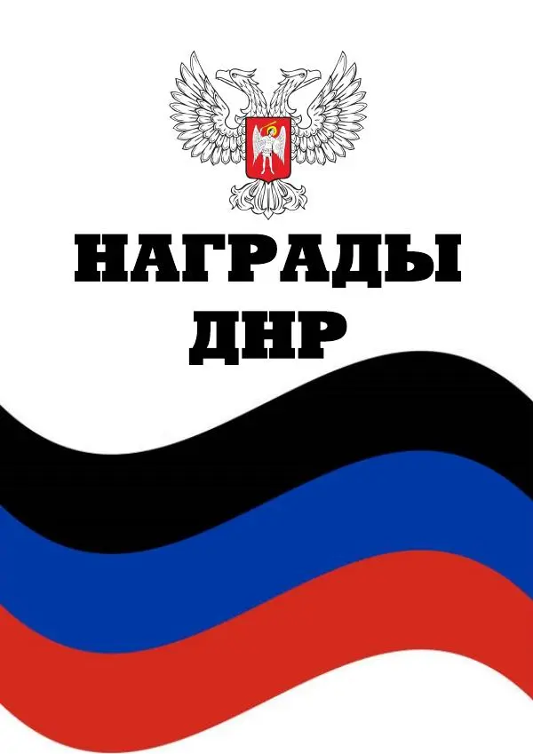 Книгаго: Награды ДНР. Иллюстрация № 1