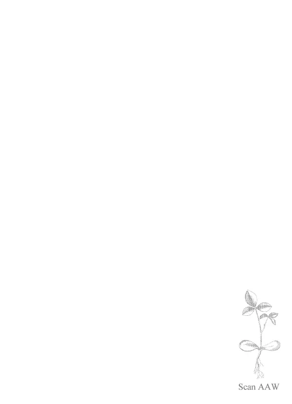 Книгаго: Сетевой радиоприёмник 1-V-1. Иллюстрация № 10