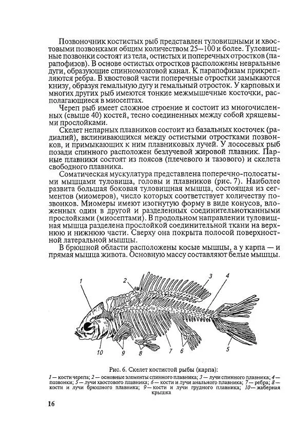 Книгаго: Болезни рыб и основы рыбоводства. Иллюстрация № 15