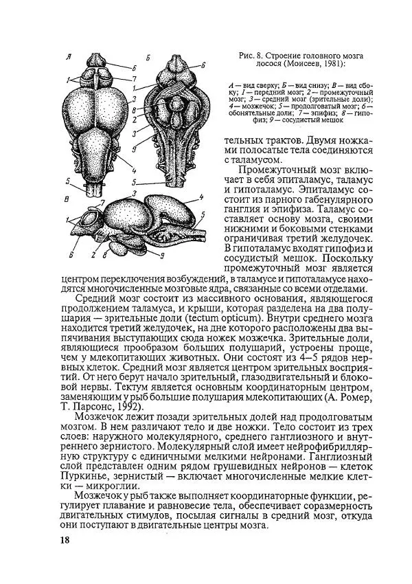 Книгаго: Болезни рыб и основы рыбоводства. Иллюстрация № 17