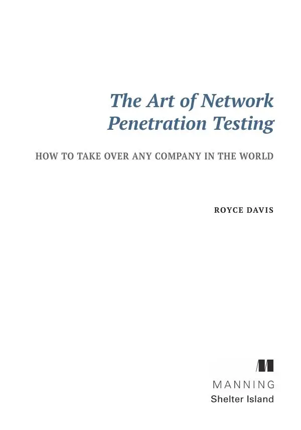 Книгаго: Искусство тестирования на проникновение в сеть. Иллюстрация № 3