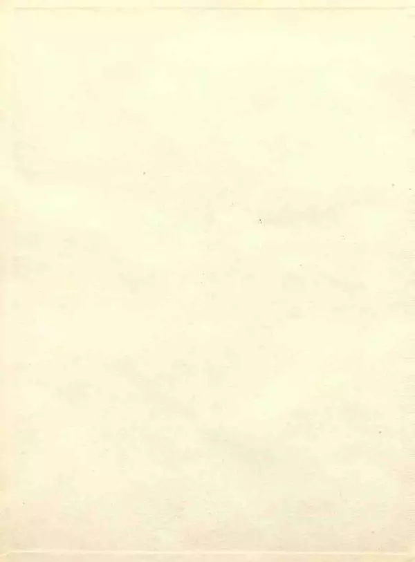 Книгаго: Снег идёт. Иллюстрация № 2