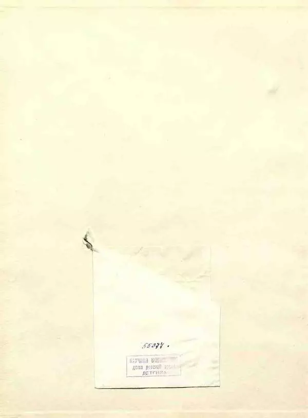 Книгаго: Снег идёт. Иллюстрация № 63