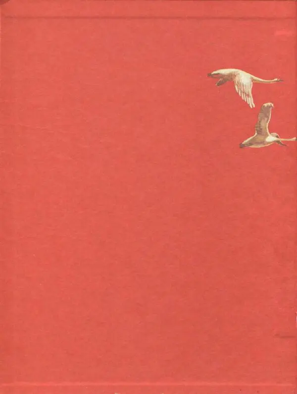 Книгаго: Птица Сирин и всадник на белом коне. Иллюстрация № 3