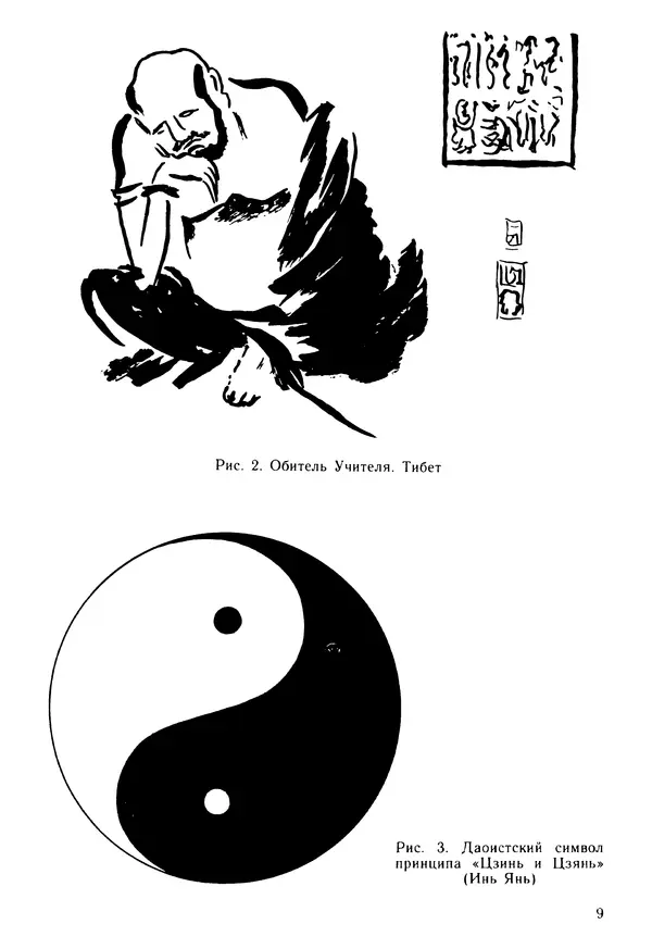 Книгаго: Первый шаг к кунг-фу. Иллюстрация № 10