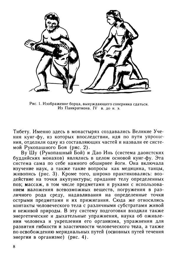Книгаго: Первый шаг к кунг-фу. Иллюстрация № 9
