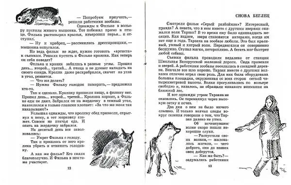 Книгаго: Лесные актеры. Иллюстрация № 8