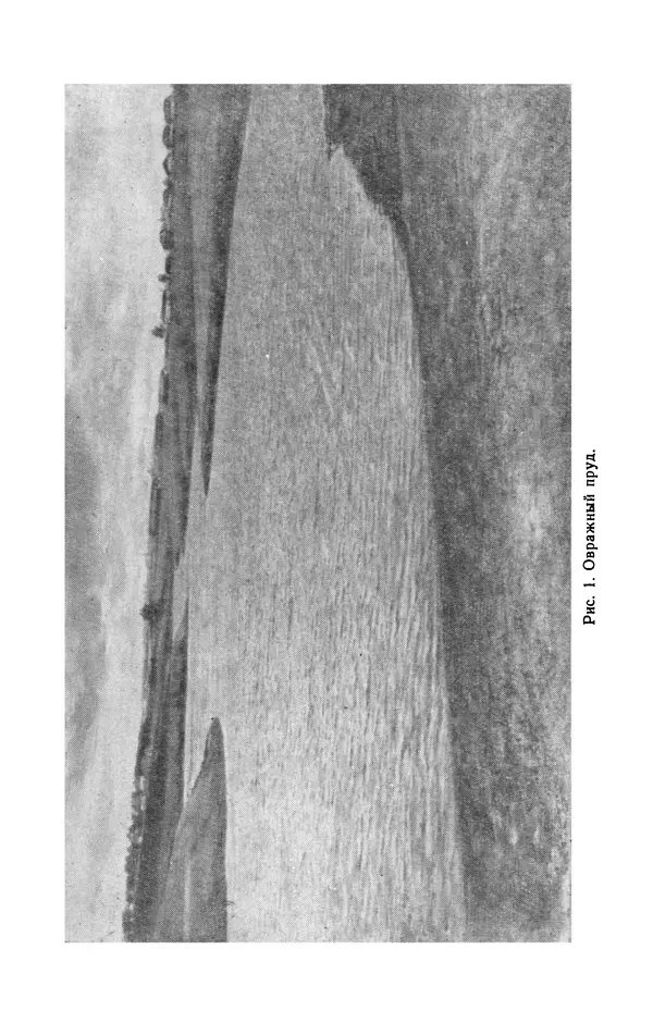 Книгаго: Юному рыбоводу. Иллюстрация № 10