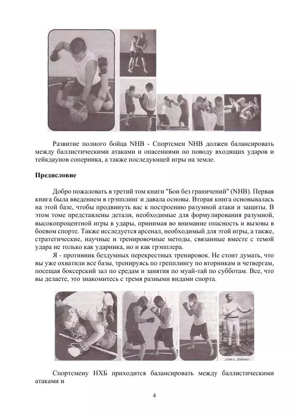 Книгаго: Дикие удары. Иллюстрация № 4