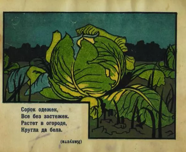 Книгаго: Загадки. Иллюстрация № 9