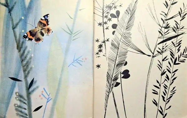 Книгаго: Ершишка-зазнайка. Иллюстрация № 2