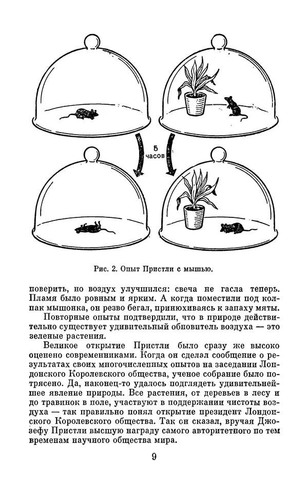 Книгаго: Зелёный щит нашей планеты. Иллюстрация № 10