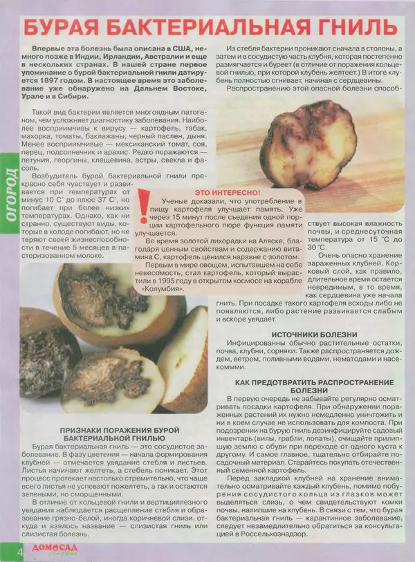 Книгаго: Дом и сад для души 2013 №12(72). Иллюстрация № 4