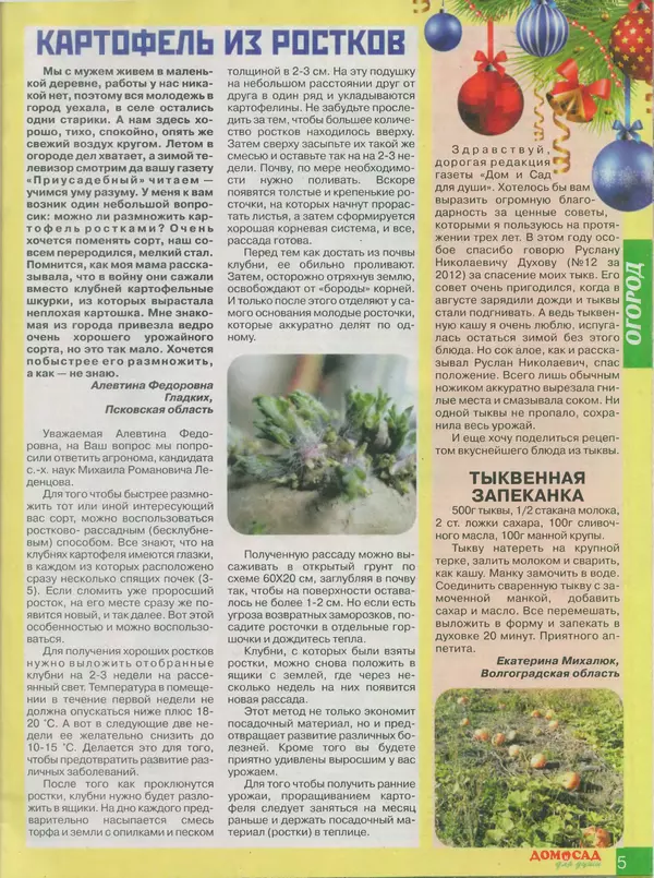 Книгаго: Дом и сад для души 2013 №12(72). Иллюстрация № 5