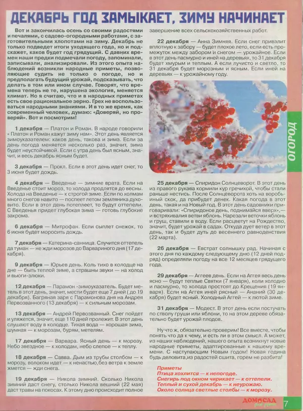 Книгаго: Дом и сад для души 2013 №12(72). Иллюстрация № 7