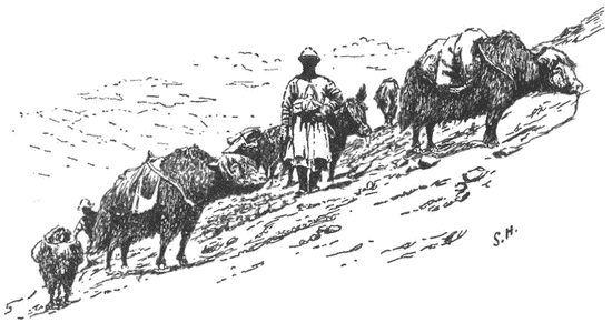 Книгаго: В сердце Азии. Памир — Тибет — Восточный Туркестан. Путешествие в 1893–1897 годах. Иллюстрация № 1